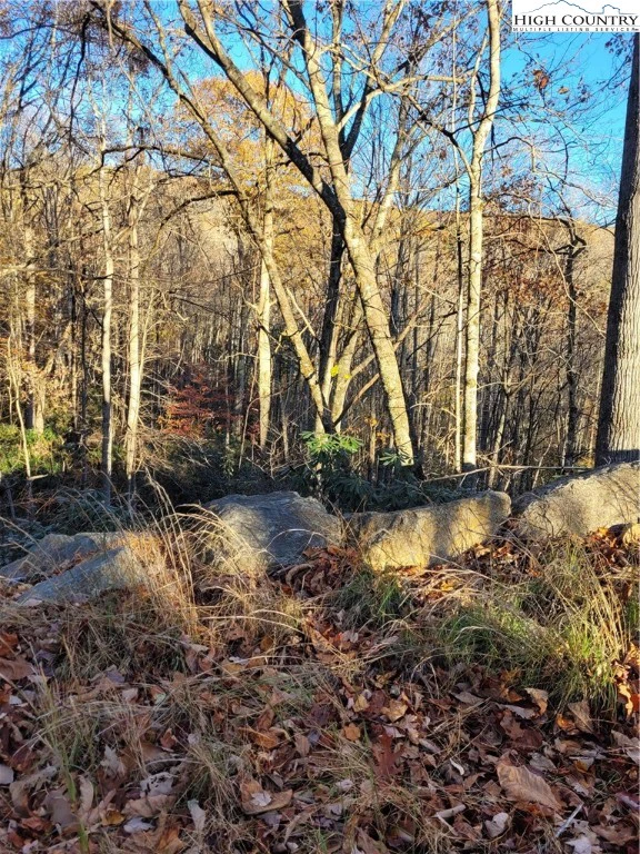Image number 9 for the current listing