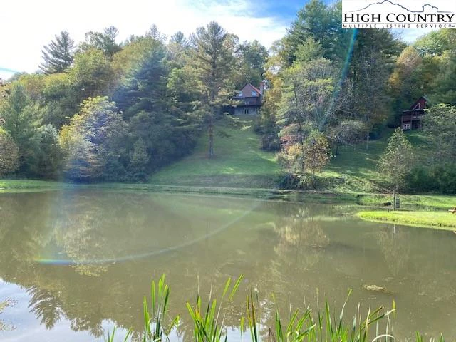 Image number 1 for the current listing