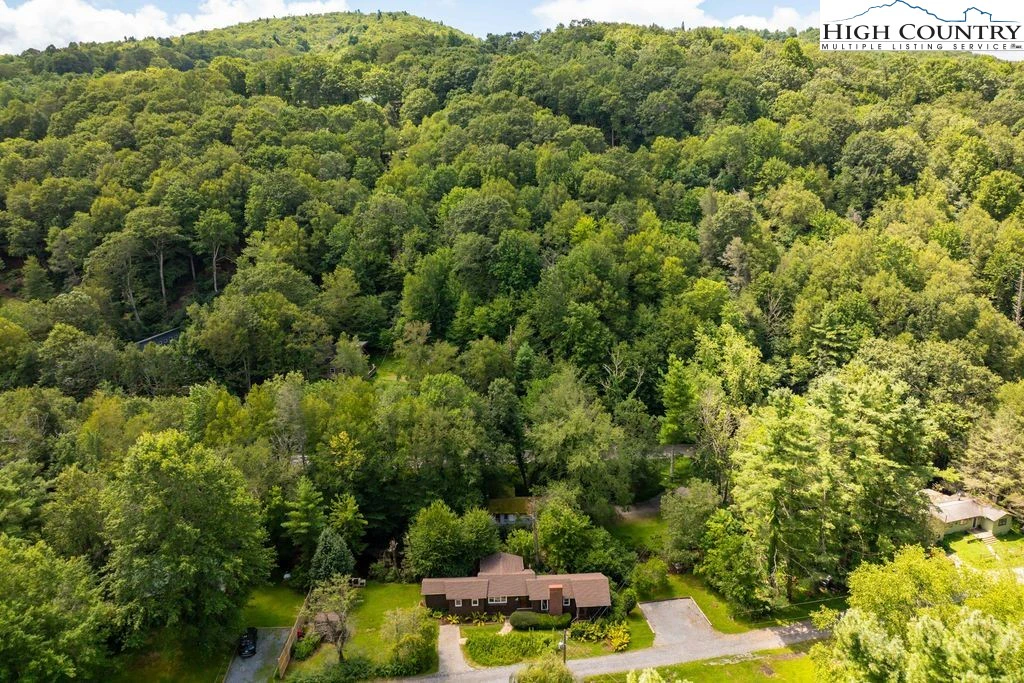 Image number 12 for the current listing