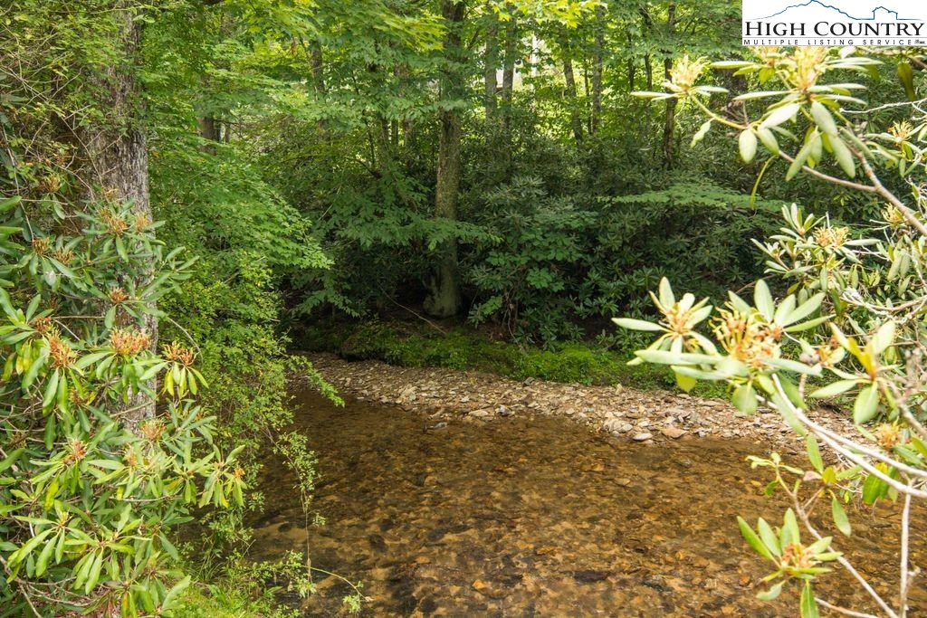 Image number 4 for the current listing