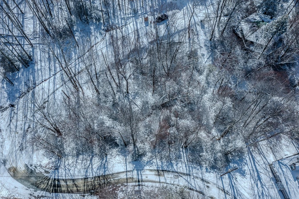Image number 5 for the current listing