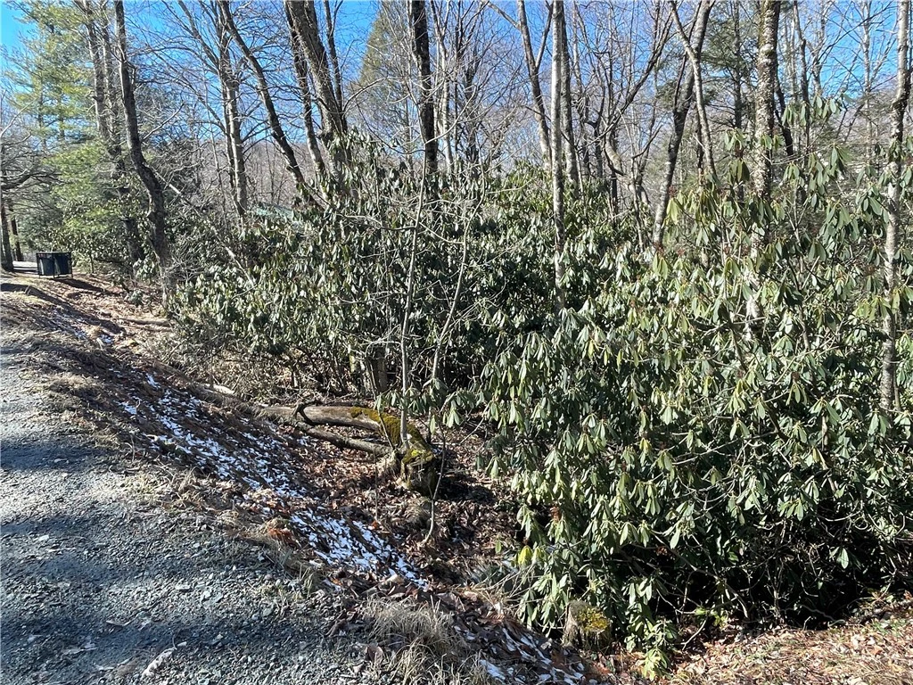 Image number 6 for the current listing