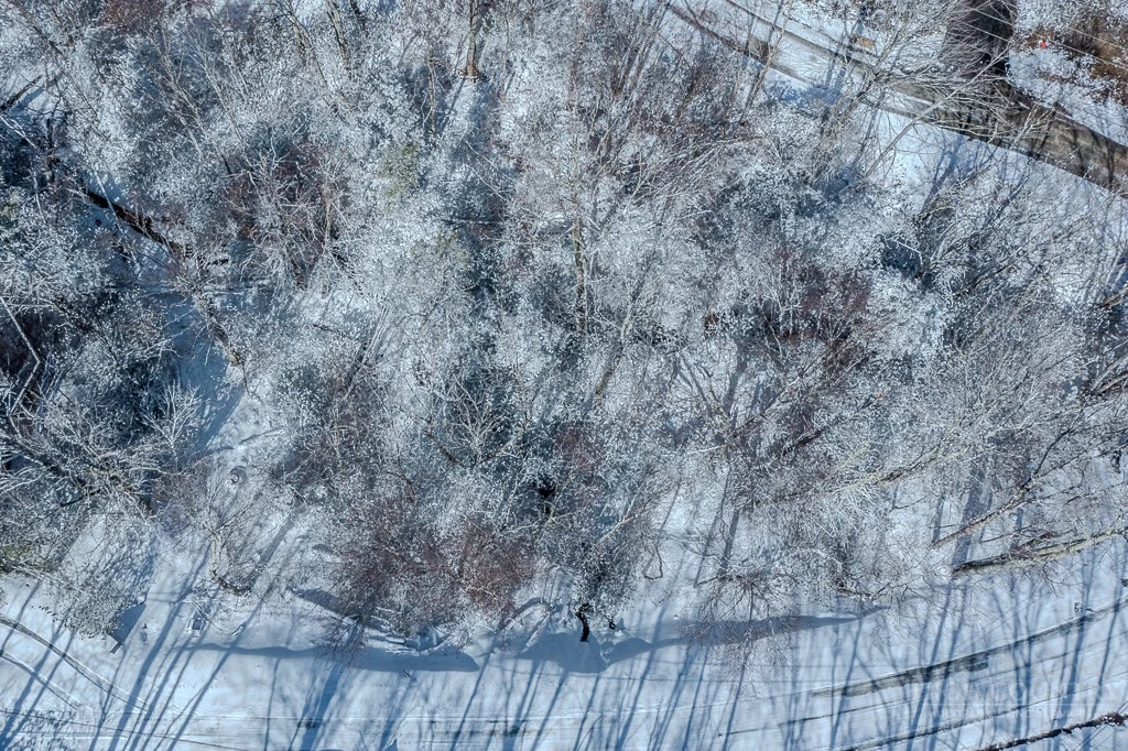 Image number 11 for the current listing