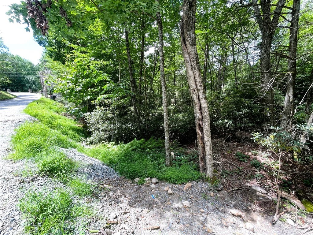 Image number 2 for the current listing