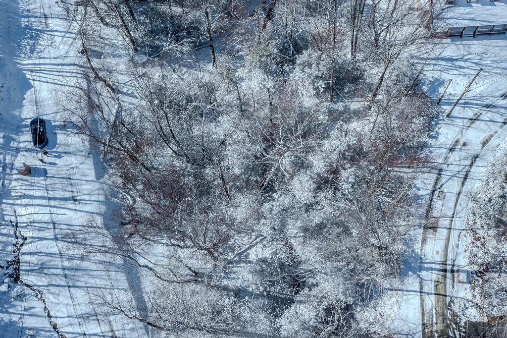 Image number 3 for the current listing