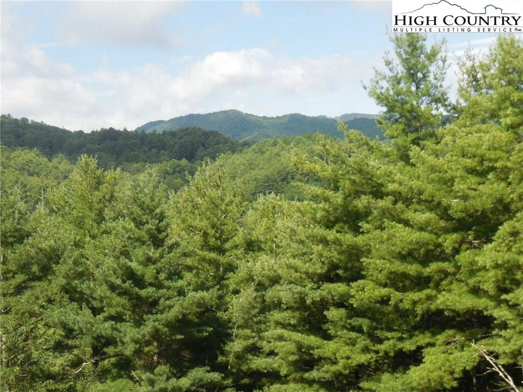 Image number 20 for the current listing