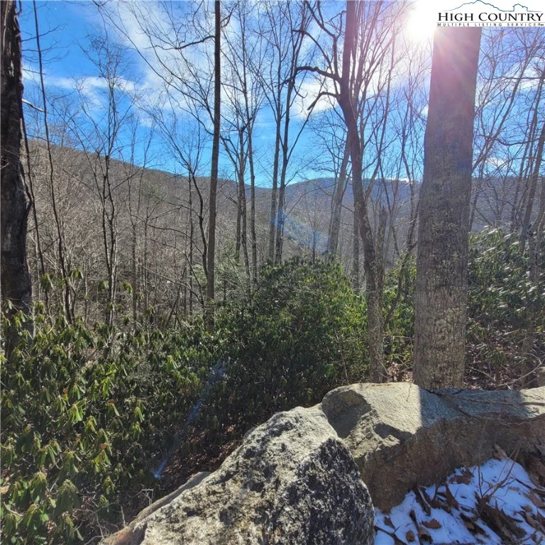 Image number 3 for the current listing