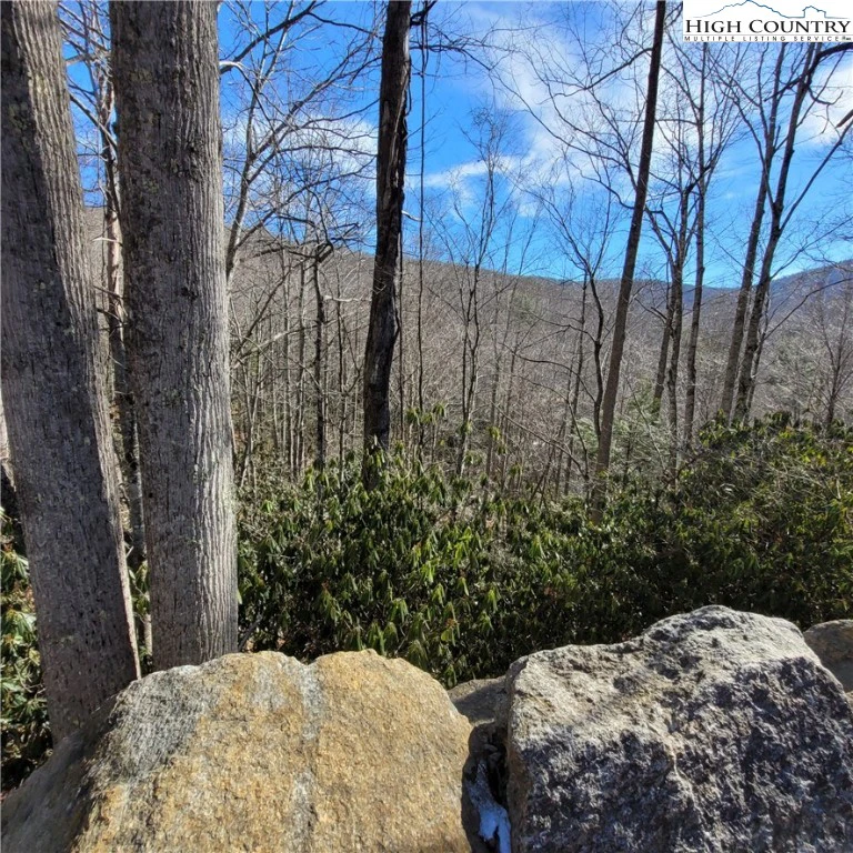 Image number 4 for the current listing