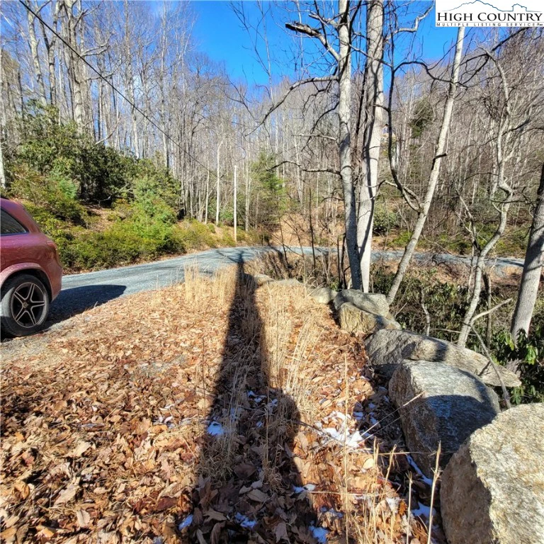 Image number 6 for the current listing