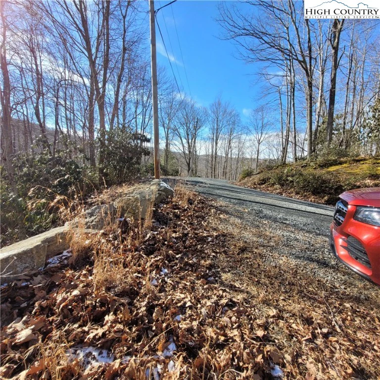 Image number 7 for the current listing