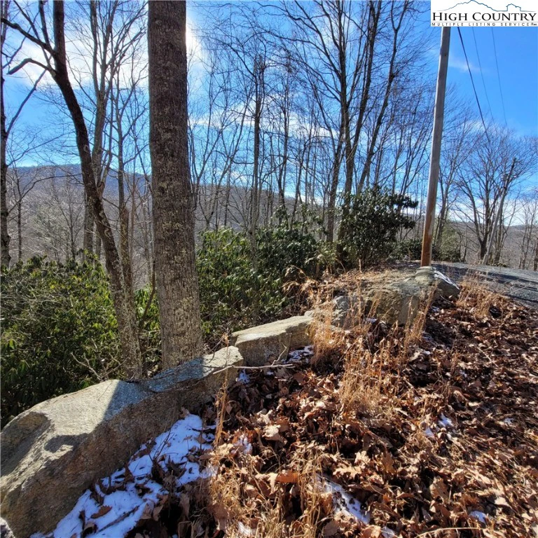 Image number 8 for the current listing