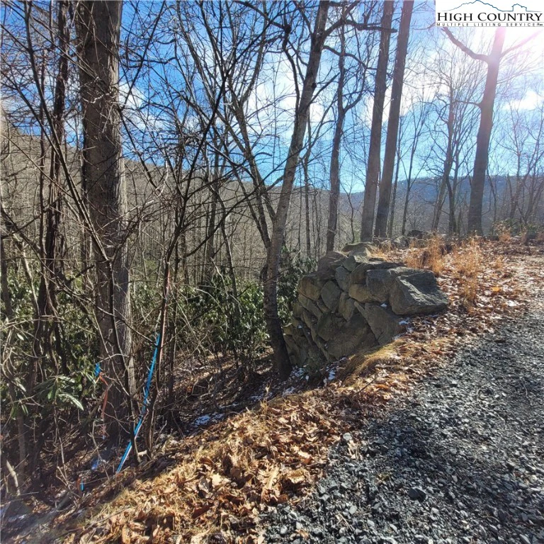 Image number 10 for the current listing