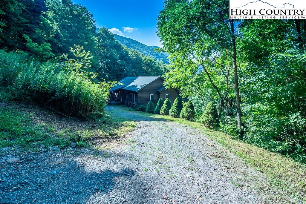 Image number 1 for the current listing
