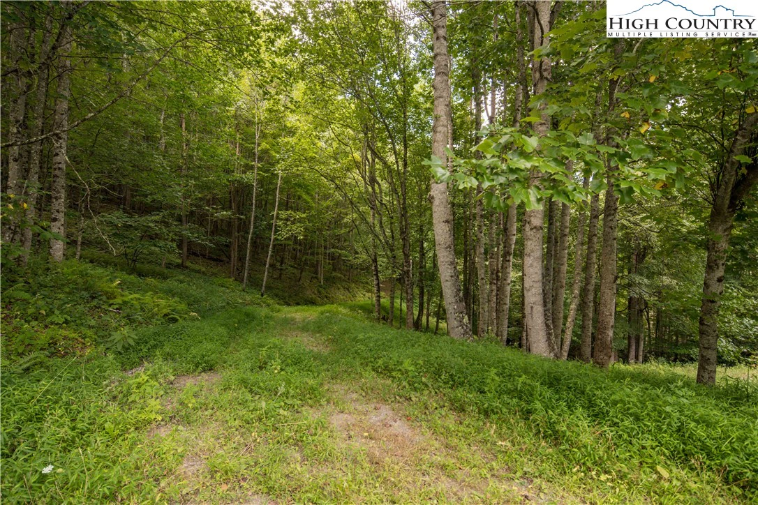 Image number 19 for the current listing