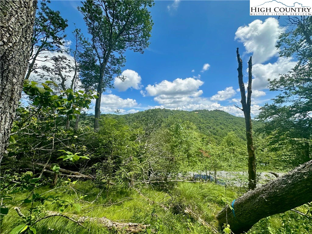Image number 4 for the current listing
