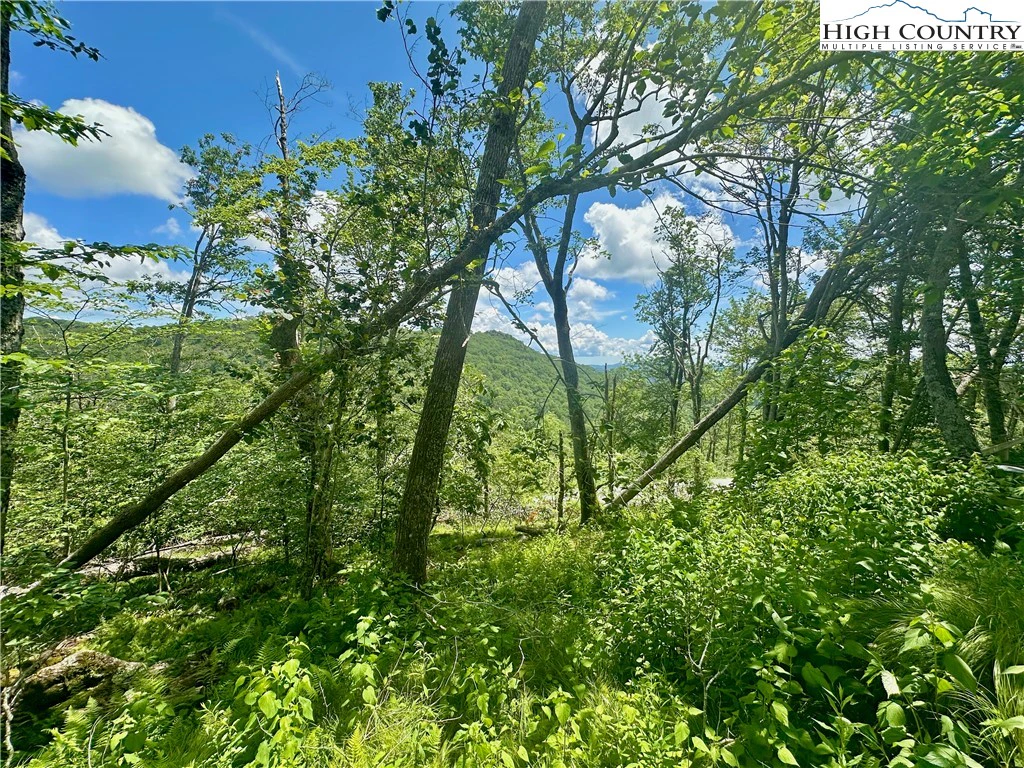 Image number 11 for the current listing