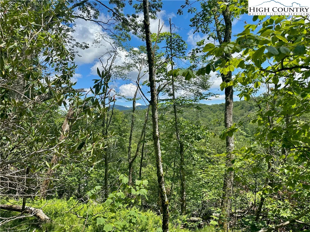 Image number 14 for the current listing