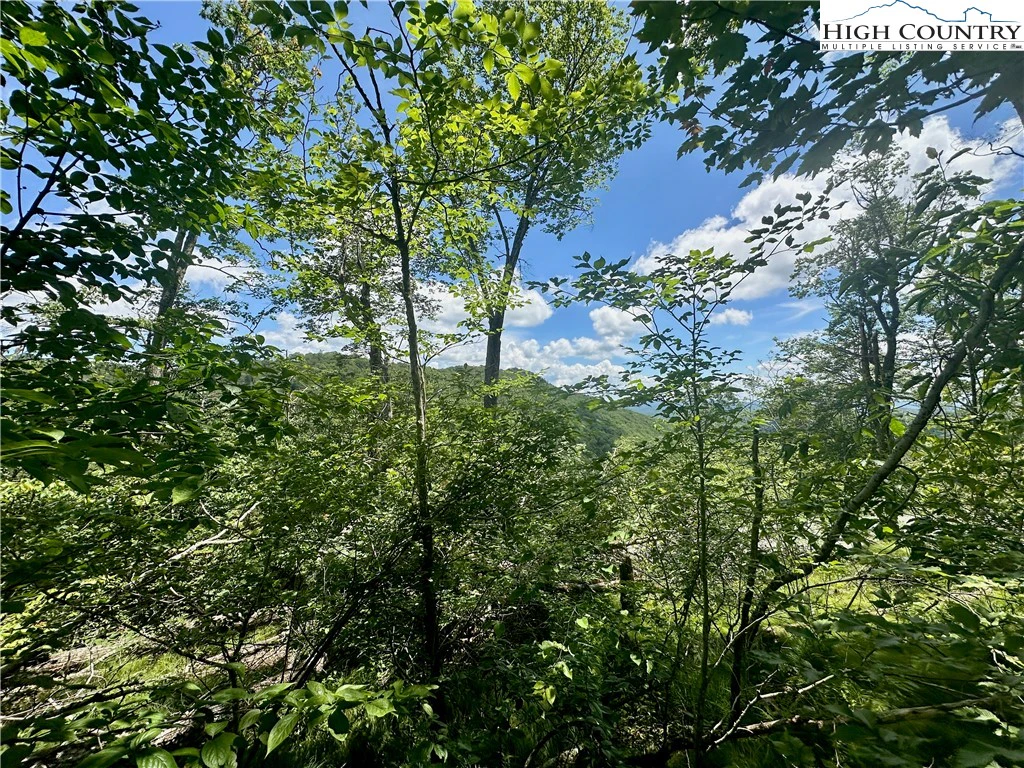 Image number 15 for the current listing
