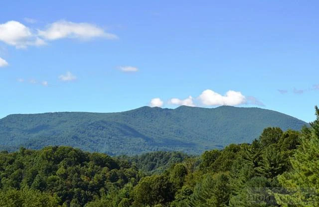 Image number 2 for the current listing