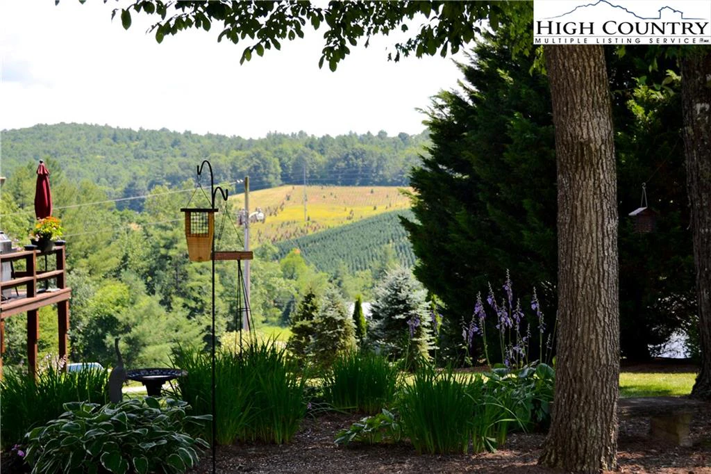 Image number 9 for the current listing