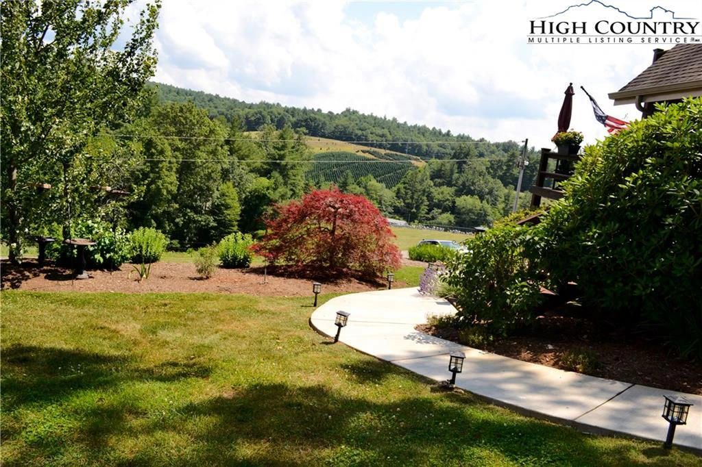 Image number 2 for the current listing
