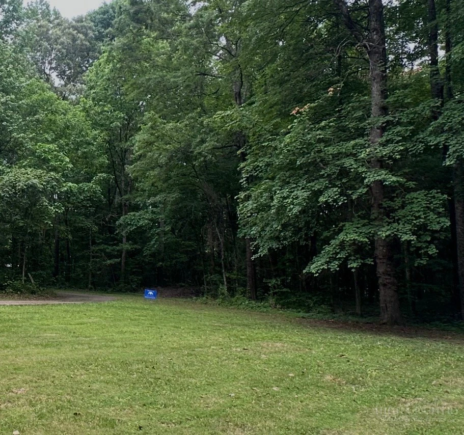 Image number 1 for the current listing