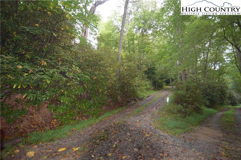 Image number 10 for the current listing