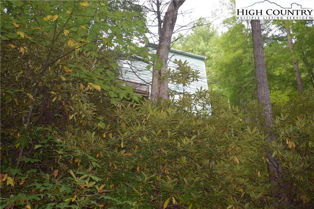 Image number 9 for the current listing