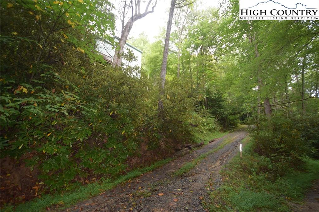 Image number 7 for the current listing