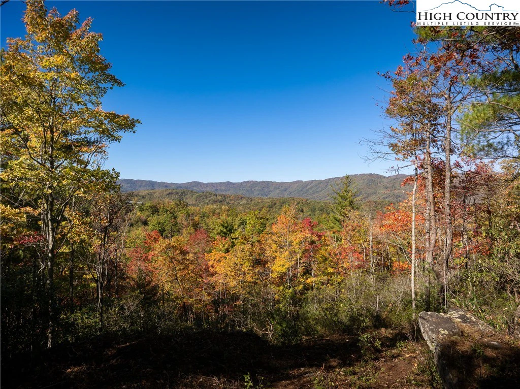 Image number 1 for the current listing