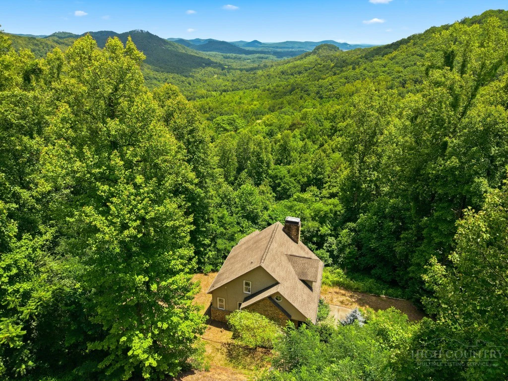 Image number 2 for the current listing