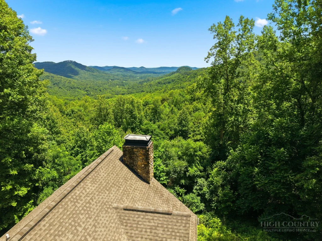 Image number 5 for the current listing