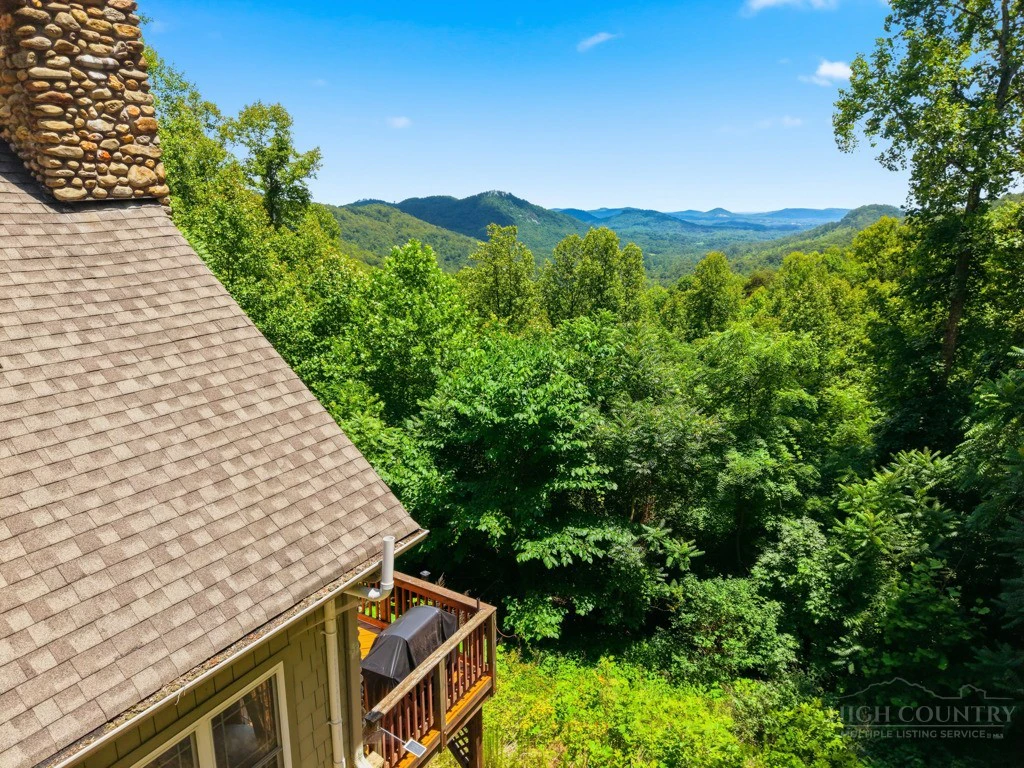 Image number 7 for the current listing