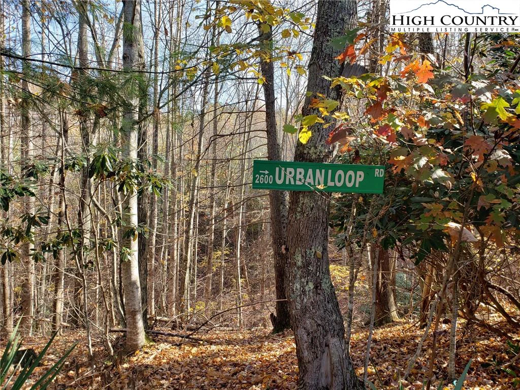 Image number 11 for the current listing
