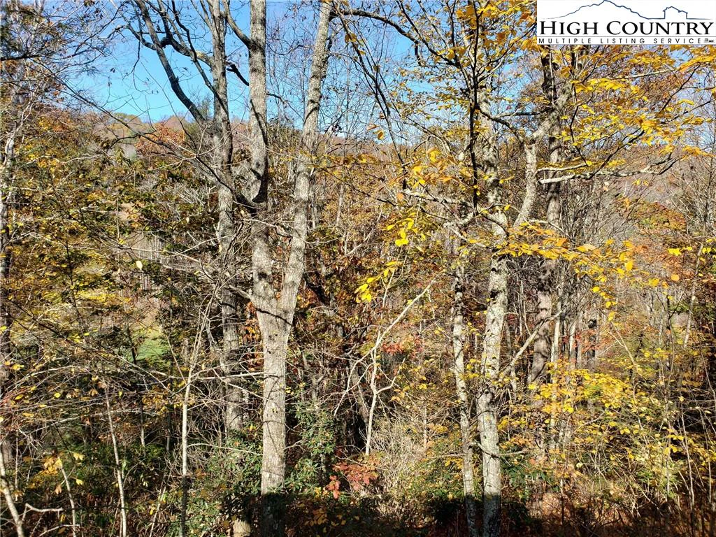 Image number 10 for the current listing