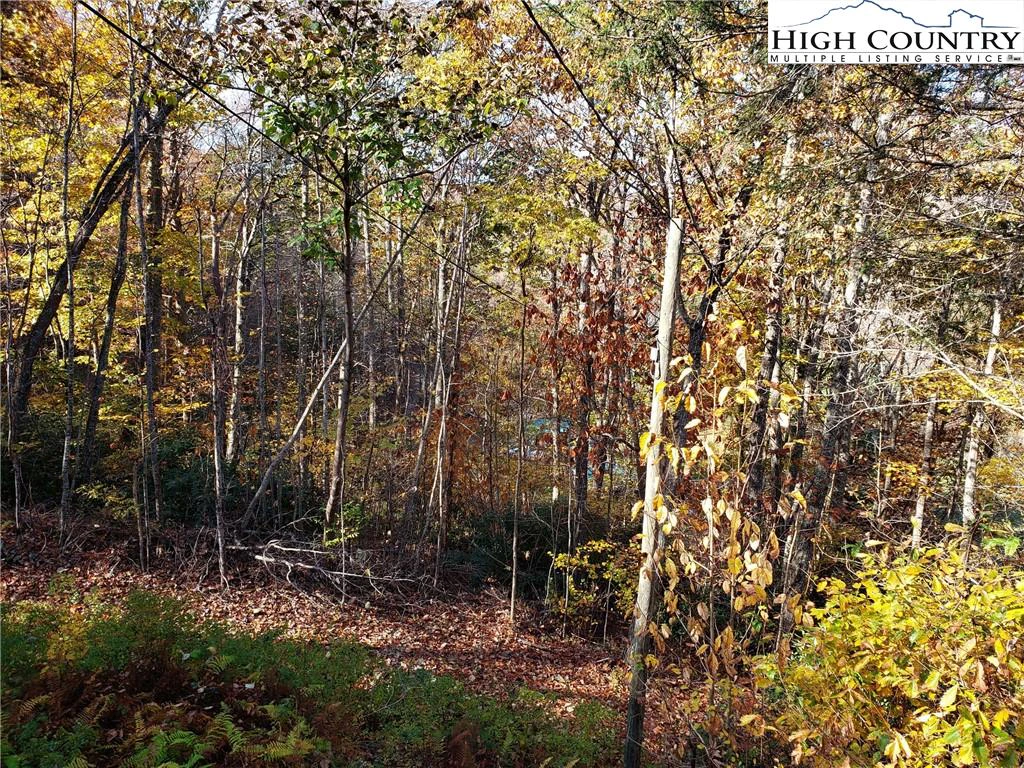 Image number 9 for the current listing