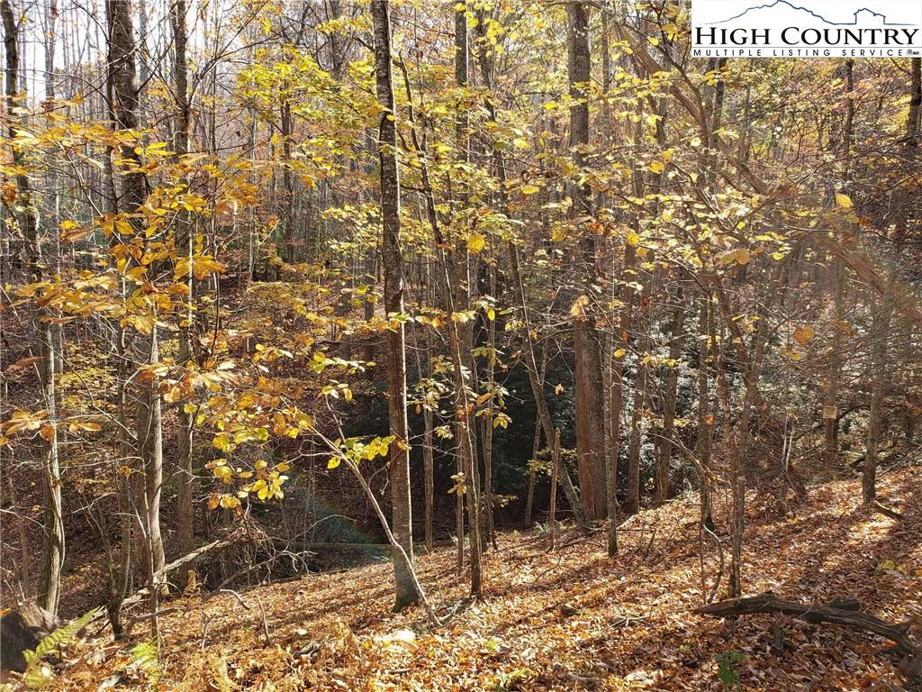 Image number 7 for the current listing