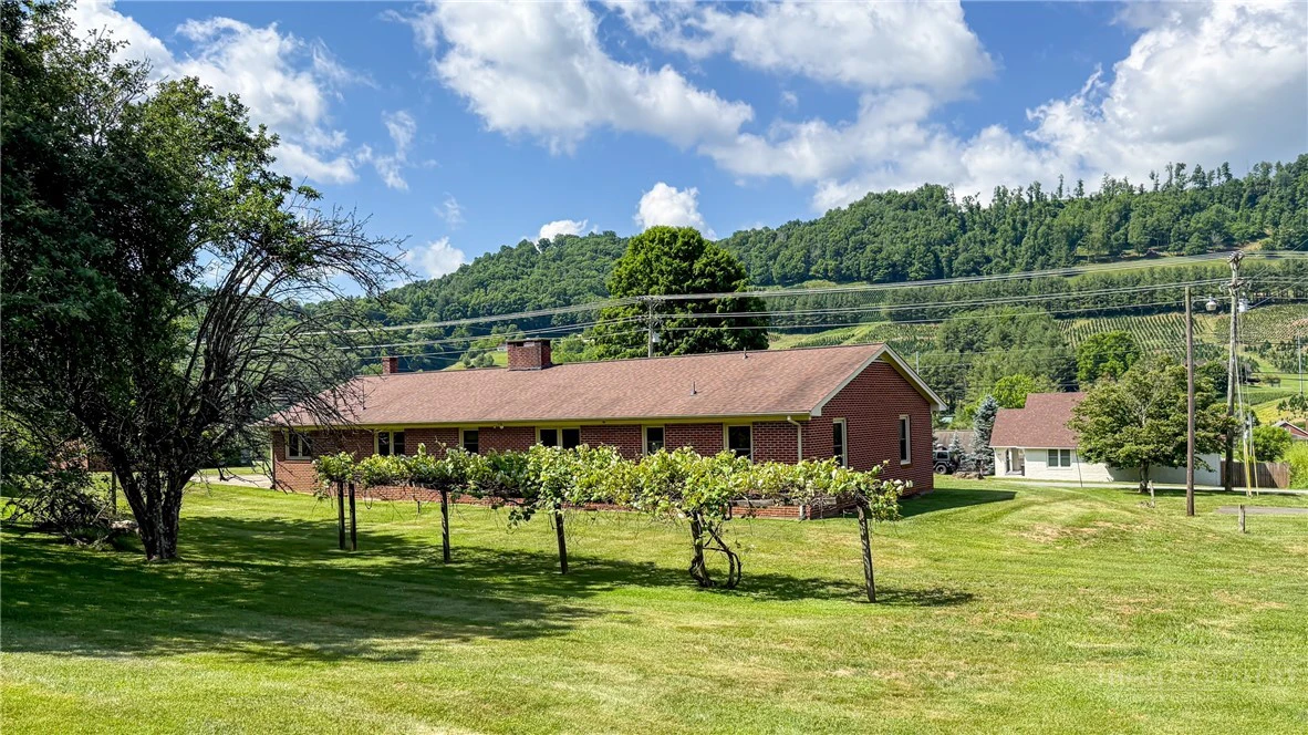 Image number 5 for the current listing