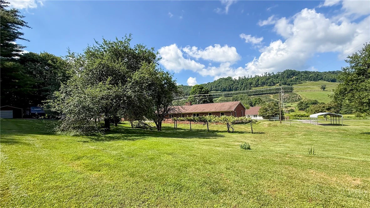 Image number 11 for the current listing