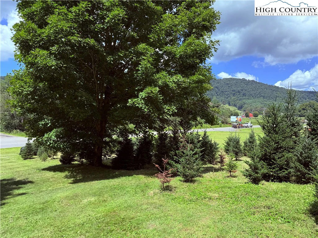 Image number 3 for the current listing
