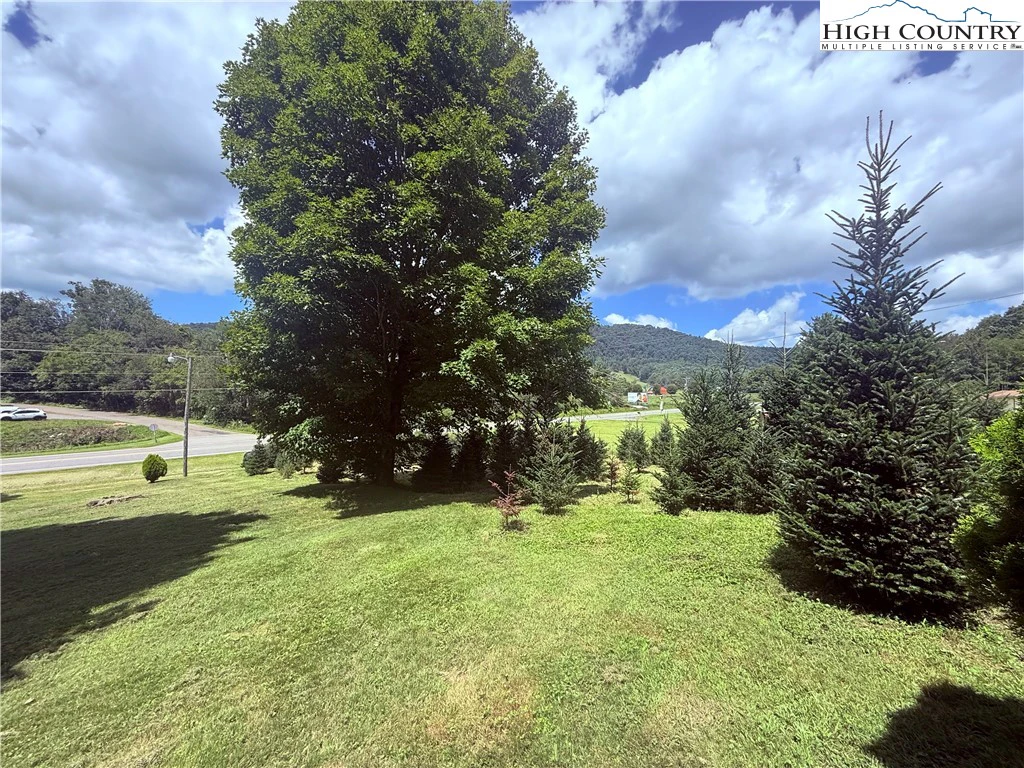 Image number 4 for the current listing