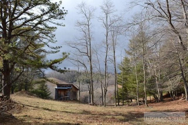 Image number 12 for the current listing
