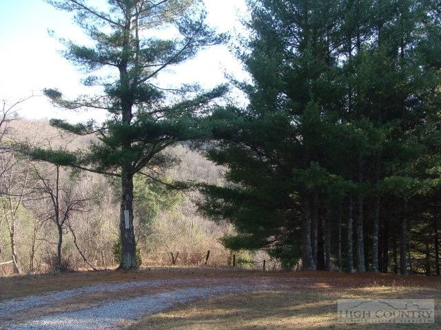 Image number 6 for the current listing