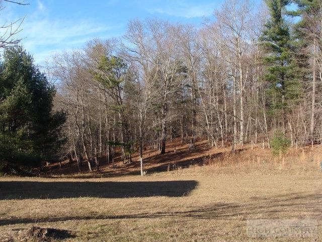Image number 5 for the current listing