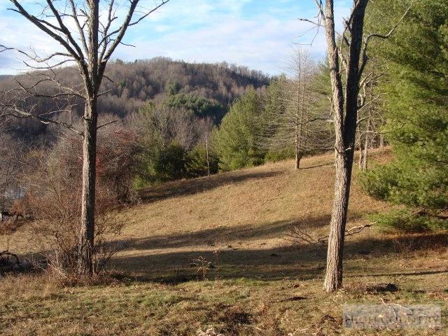 Image number 4 for the current listing