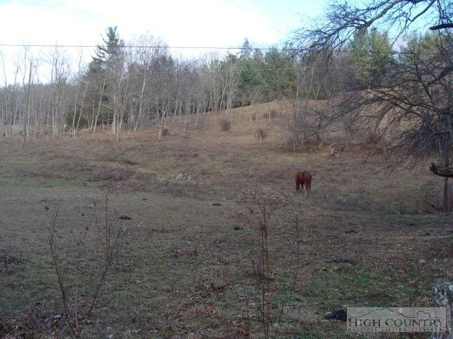 Image number 3 for the current listing