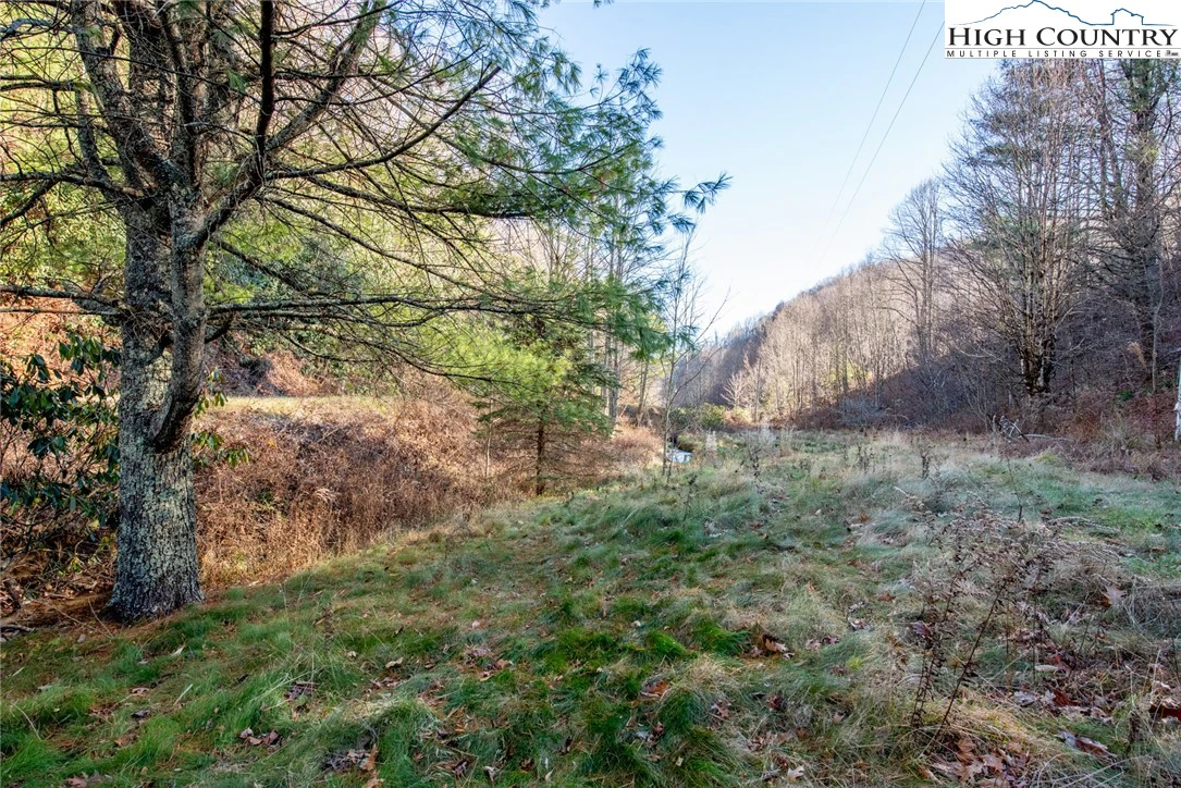 Image number 5 for the current listing