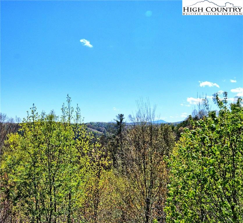 Image number 19 for the current listing
