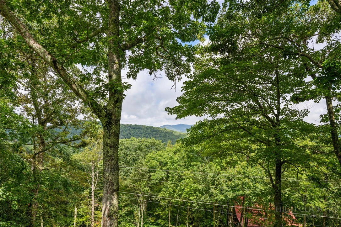 Image number 1 for the current listing