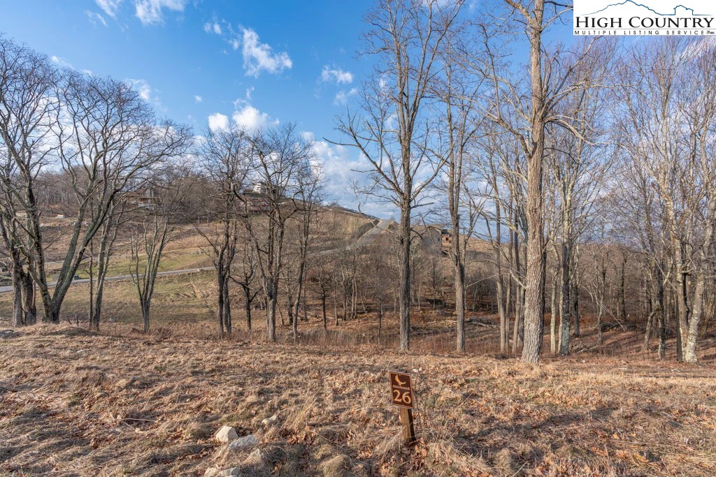 Image number 20 for the current listing